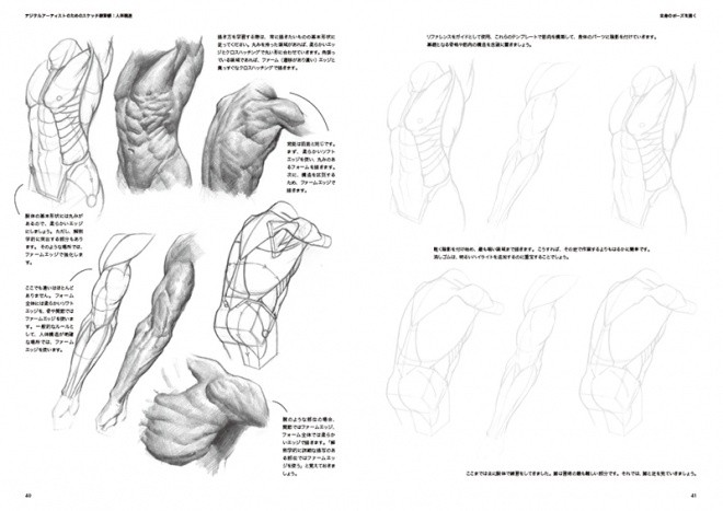 Sketch Workshop Anatomy06