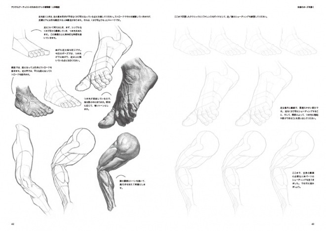 Sketch Workshop Anatomy07