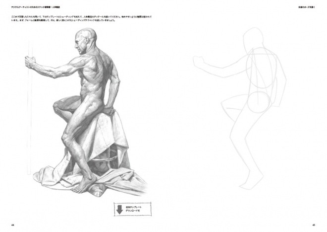 Sketch Workshop Anatomy08