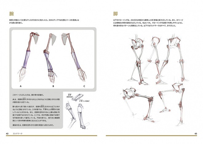 Figure Drawing jp 04