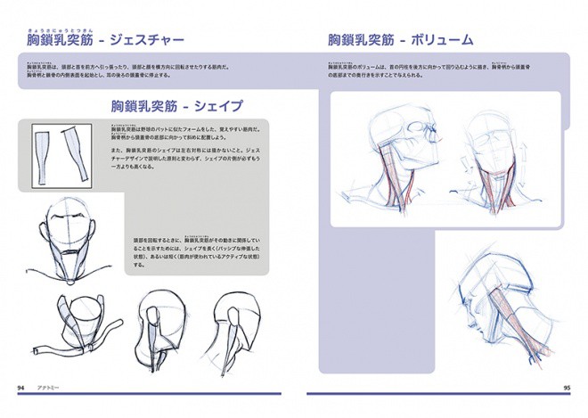 Figure Drawing jp 07