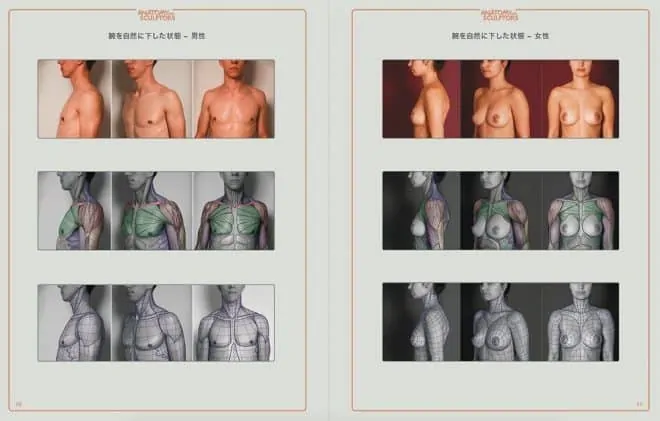 anatomy-for-sculptors-jp-3